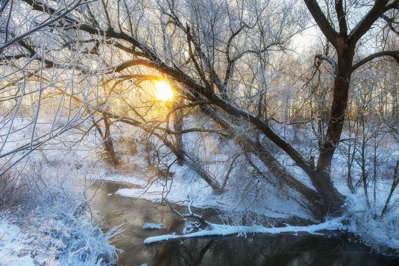 Вставало солнце из за леса