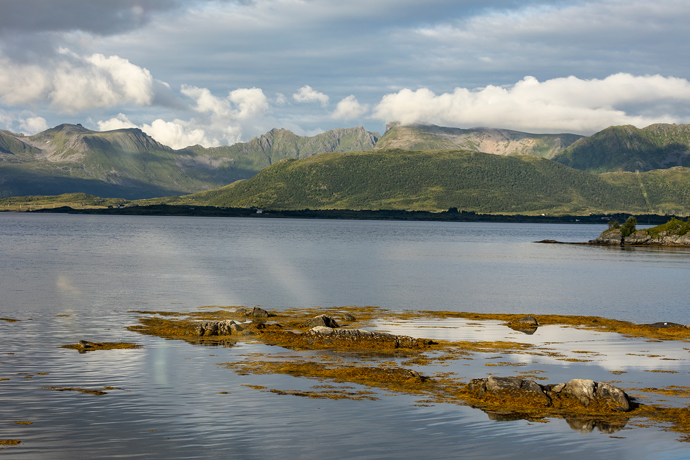 Облако в штанах