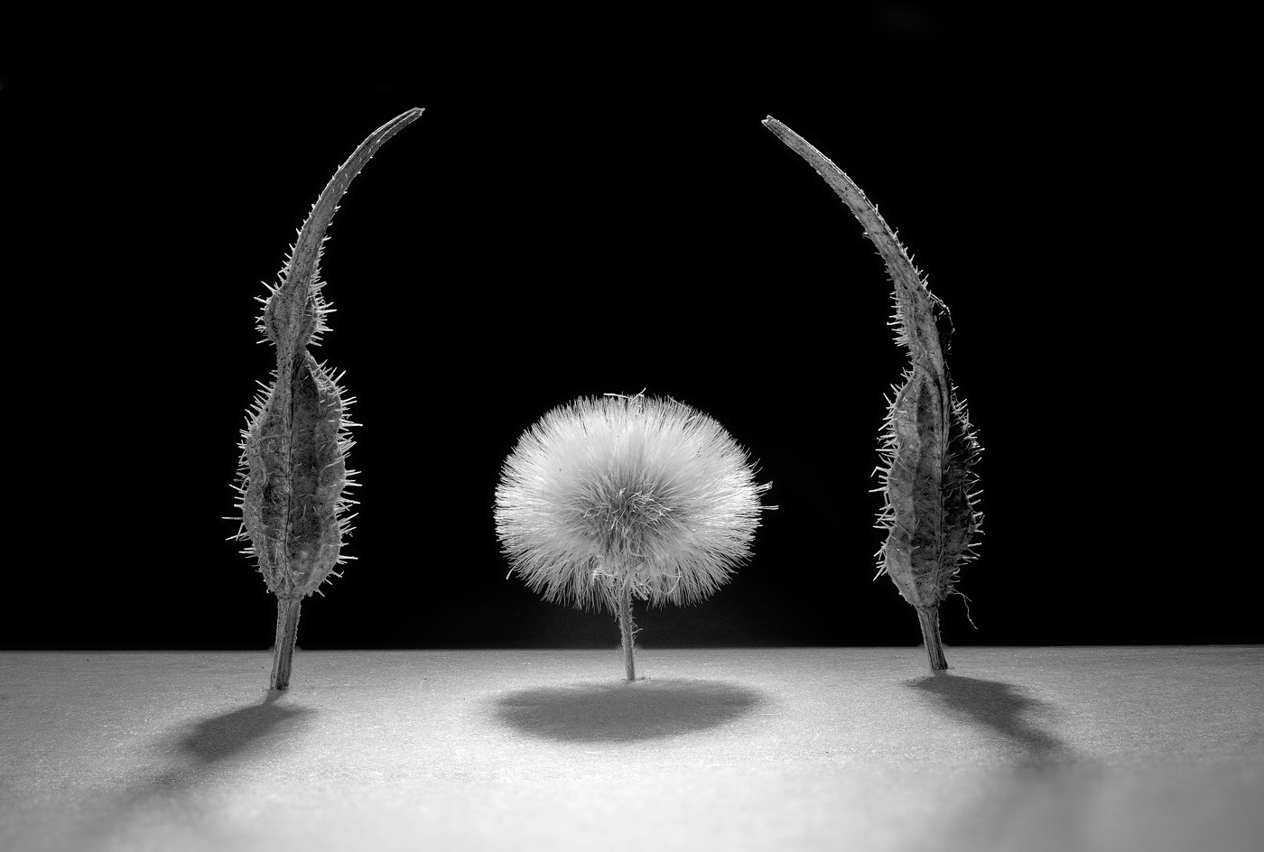 Третий должен уйти...