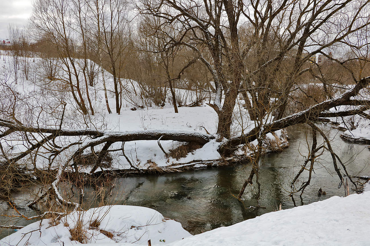 На речке Песочной в январе