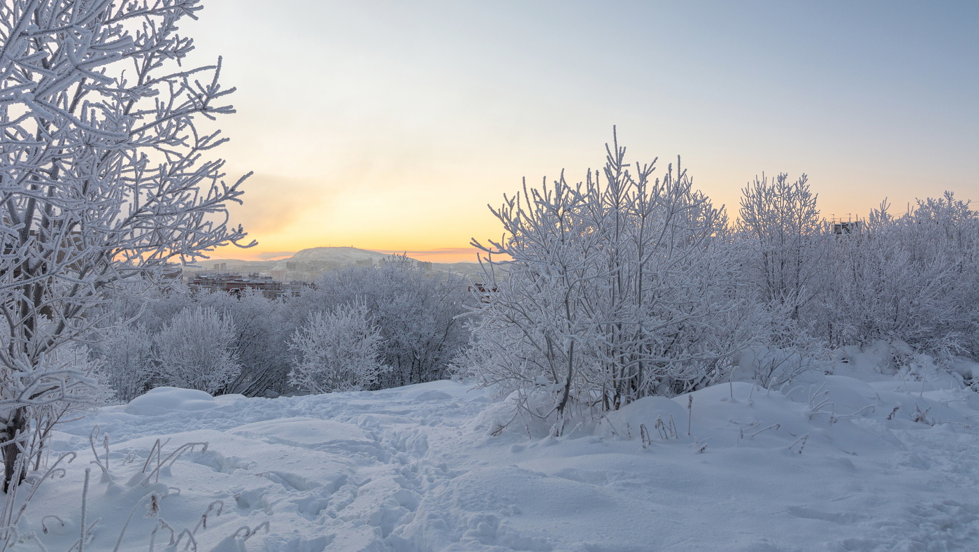 морозный день