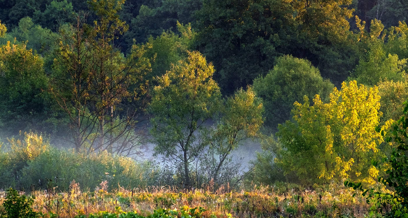 Там прячется туман.
