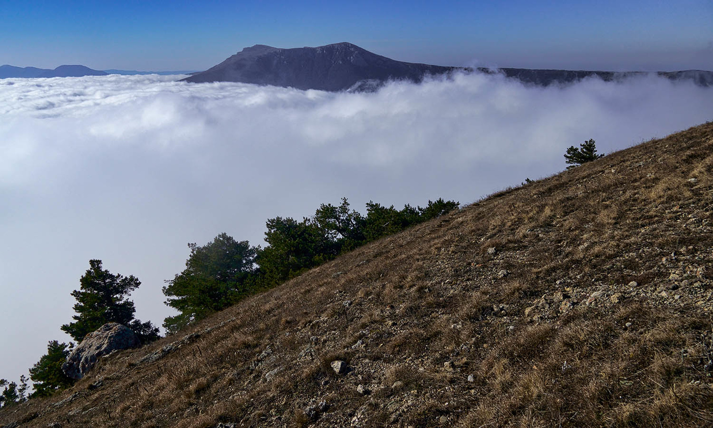Заоблачное