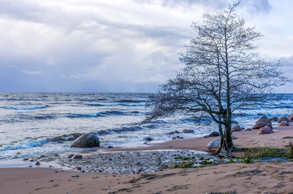 Финский залив в ноябре.