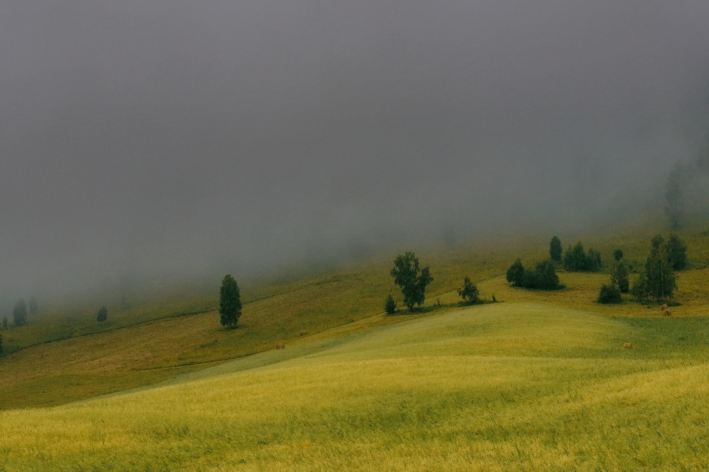 После дождя.