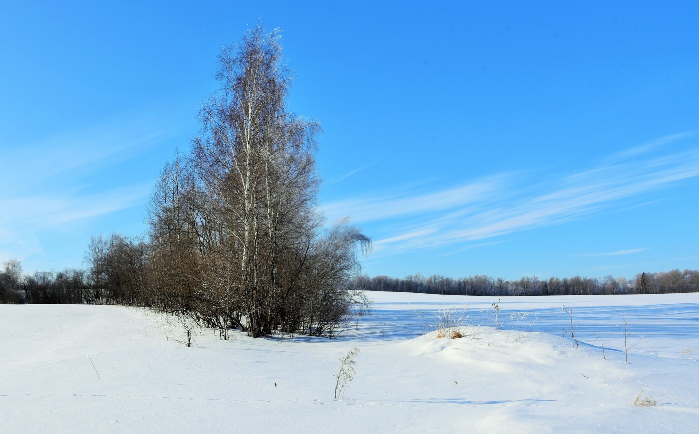 "Чуть слышен ветра свист и только. Тишина ..."