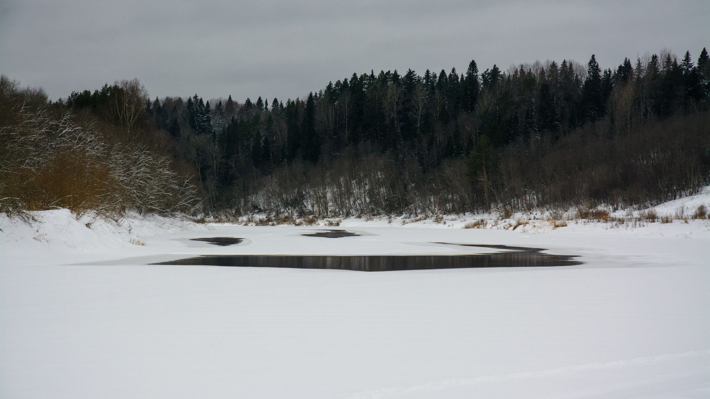 Жизнь вокруг