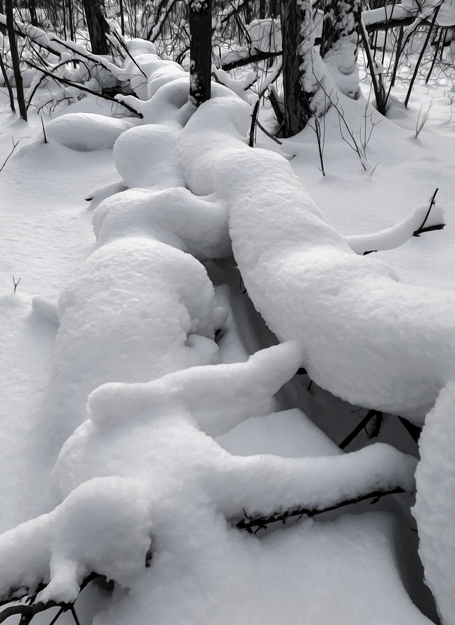 Зимние фантазии...