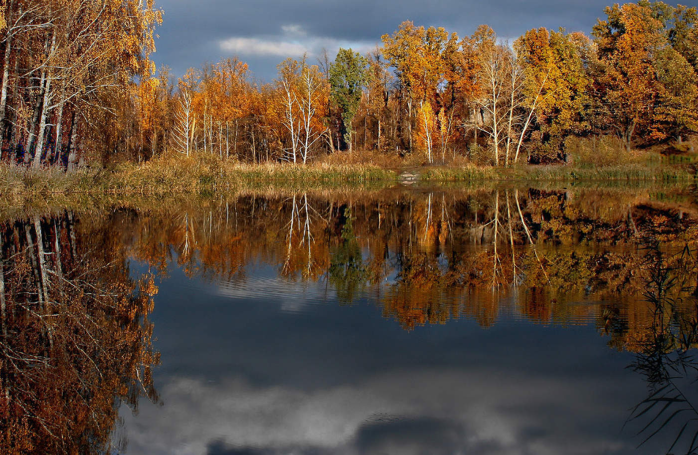 Загляделась роща золотая в зеркало знакомого пруда