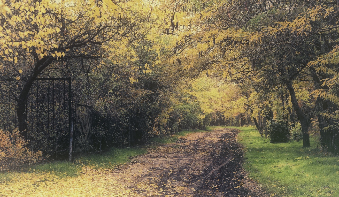 Там в Октябре