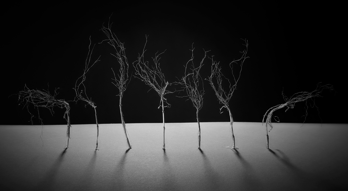 После Вечеринки...