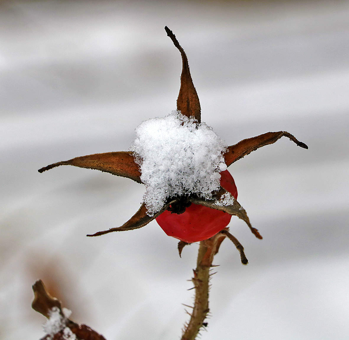 С первым днём февраля!