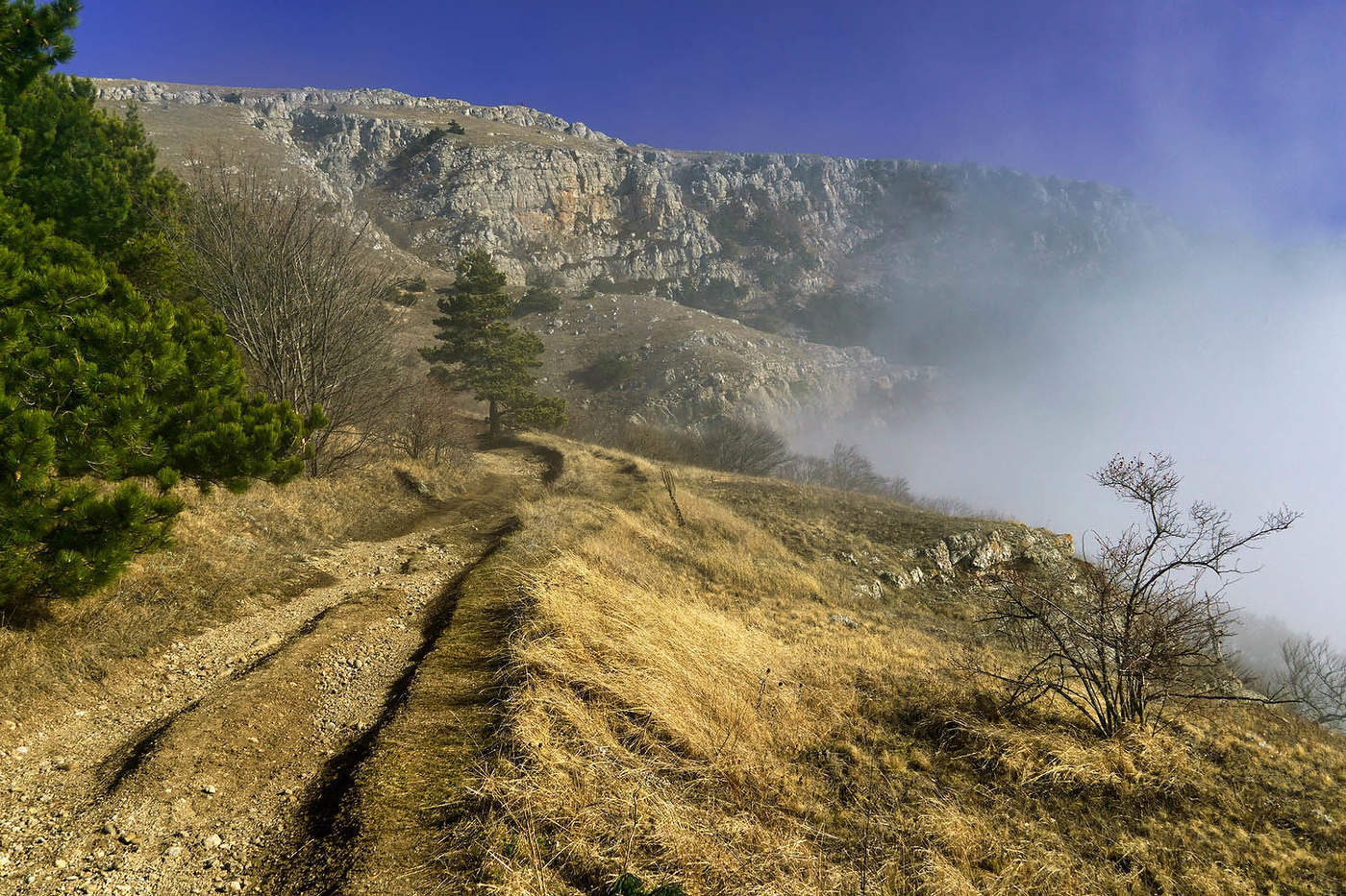 На Северном Демирджи