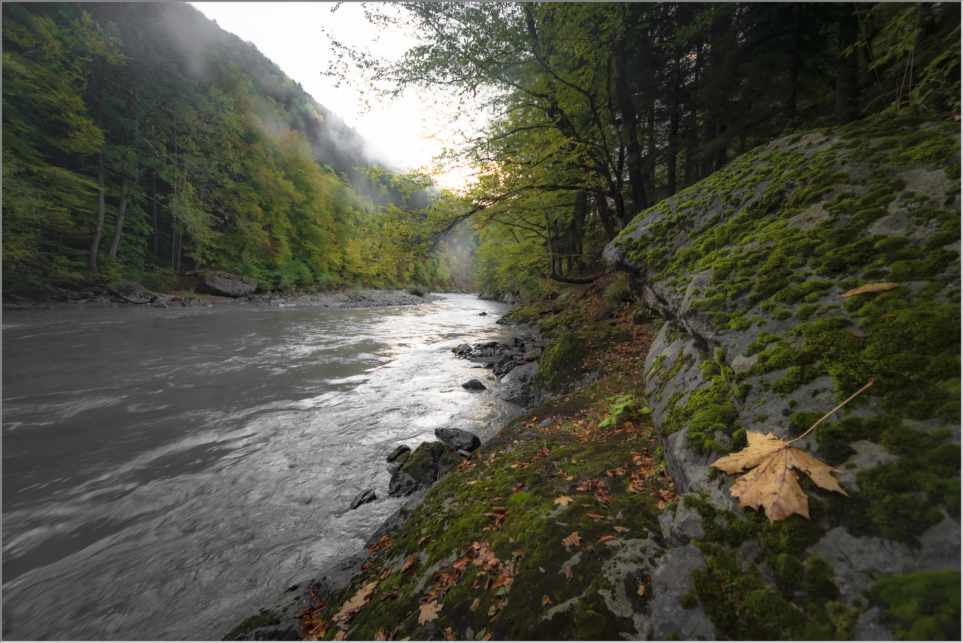 Осеннее утро