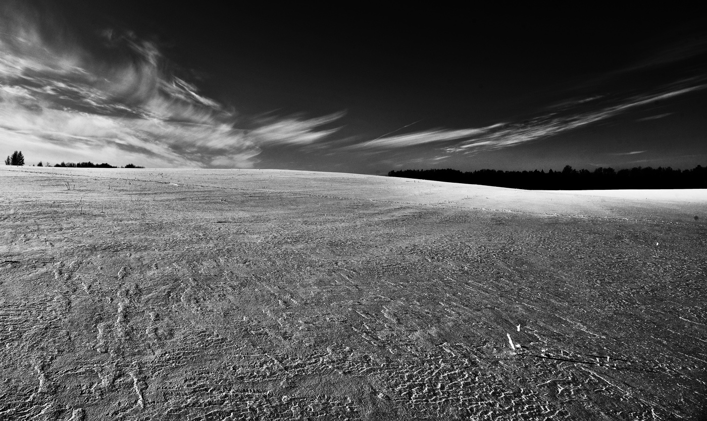 "Раскинут в даль простор, до леса белизна..."
