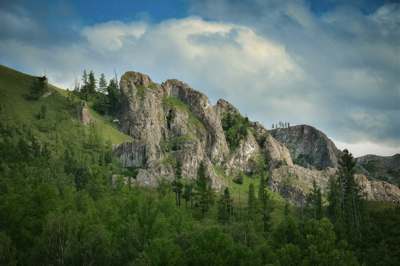 Горы лес Хакасия