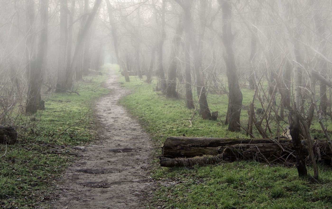 Январскими тропами
