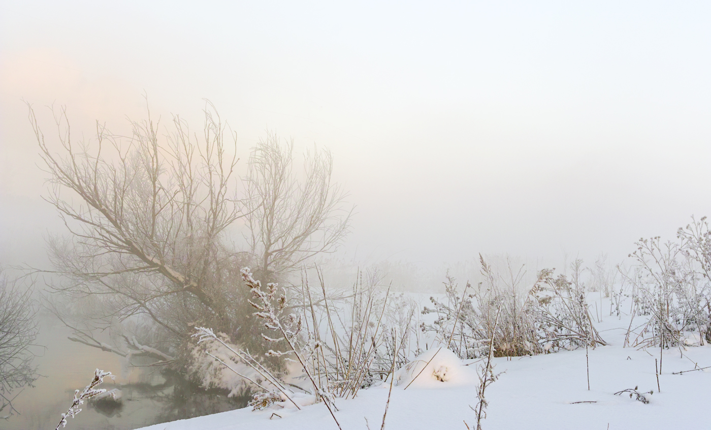 Туманный рассвет