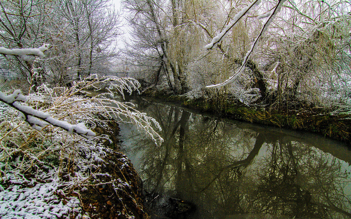 Зеркало Зимы