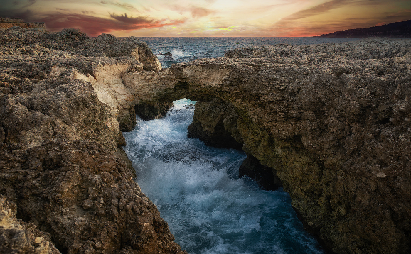 Дикий Феолент.