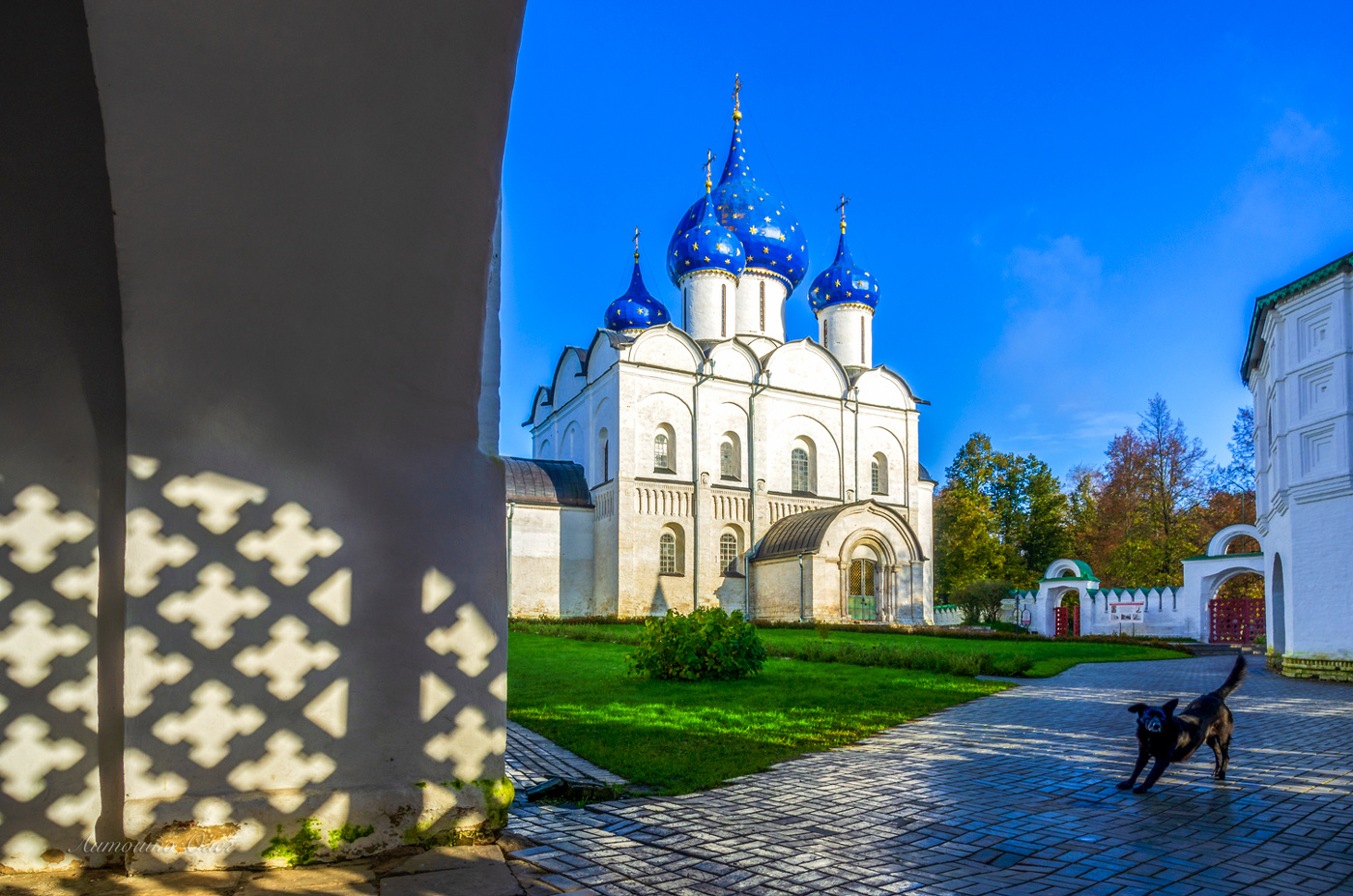 Первые посетители.