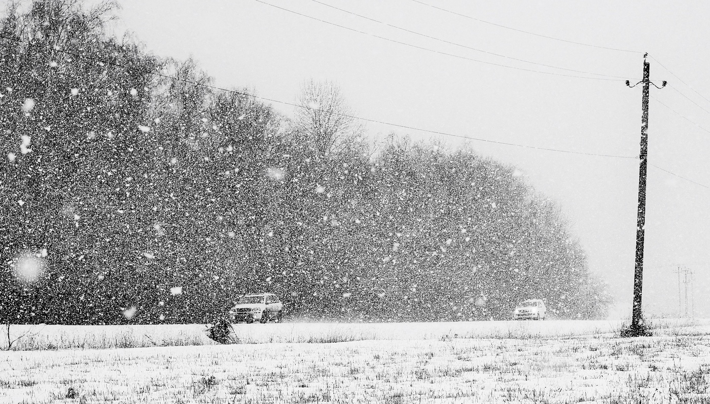 "Мириадами летят мотыльки зимы холодной..."