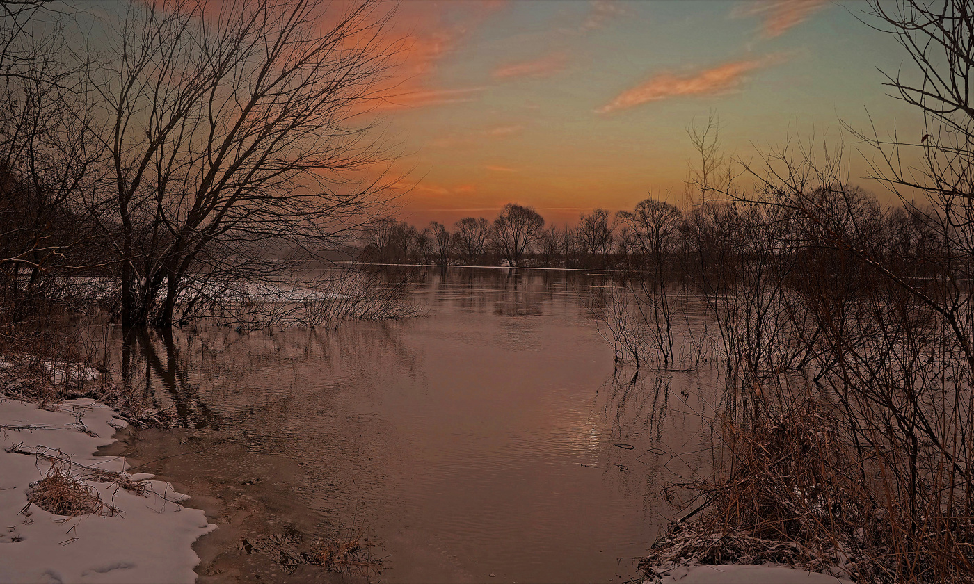 На дворе февраль, а в природе будто весна.