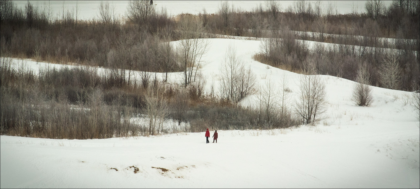 Новые сказки братьев