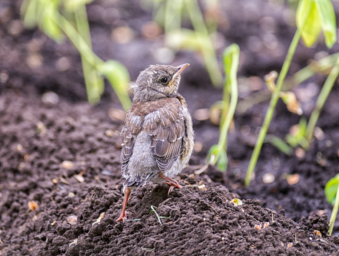 будущий воин!