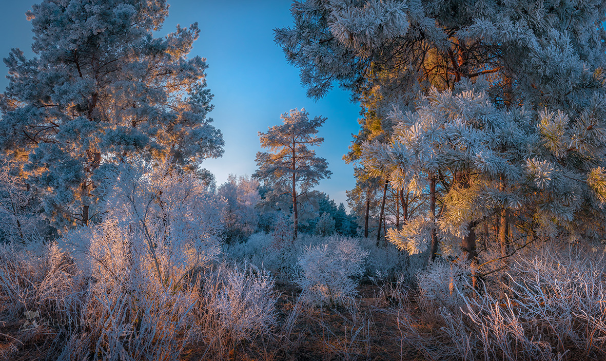 Иней на закате