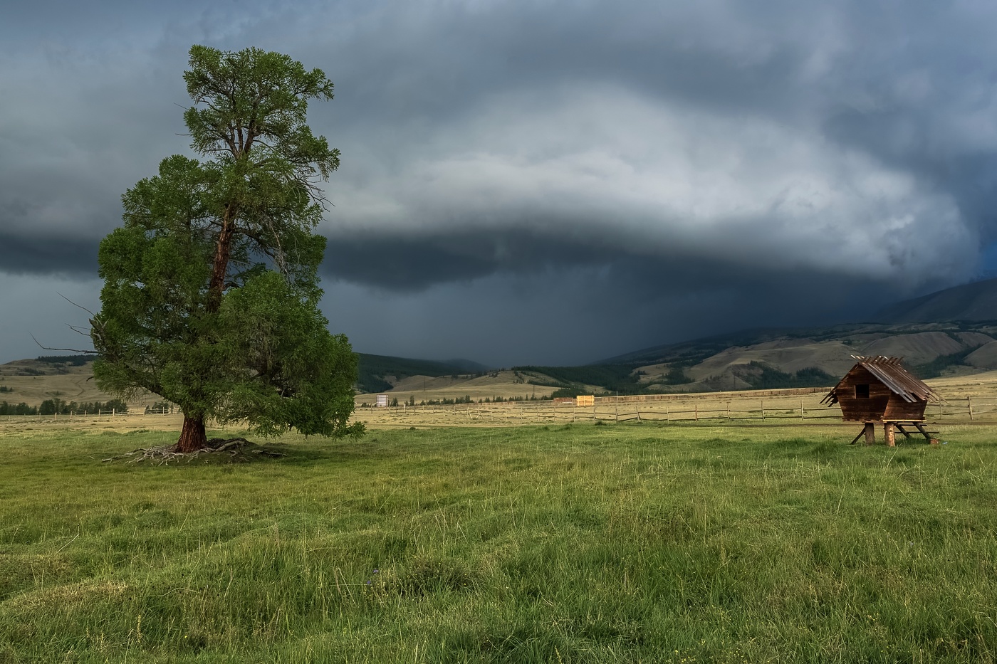 Перед грозой