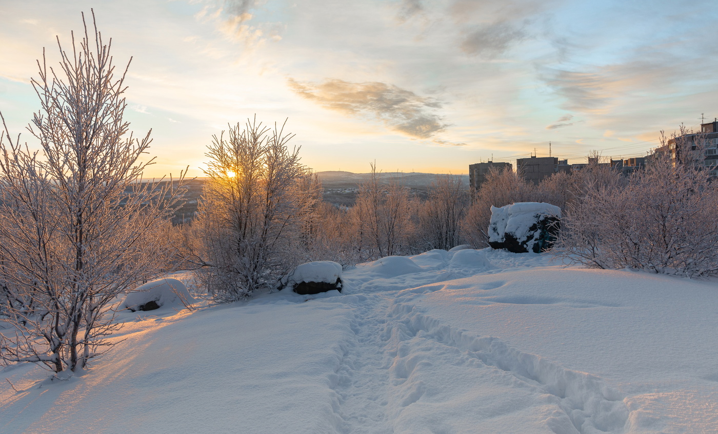 морозное утро