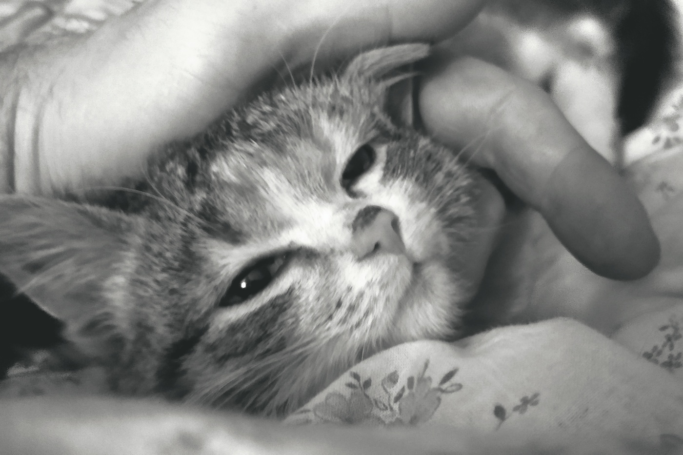 Жизнь вокруг