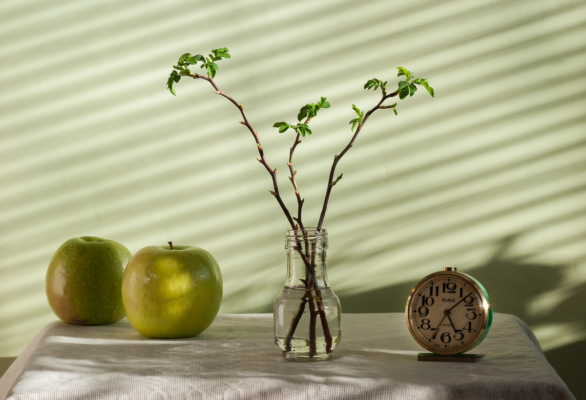 Скоро весна