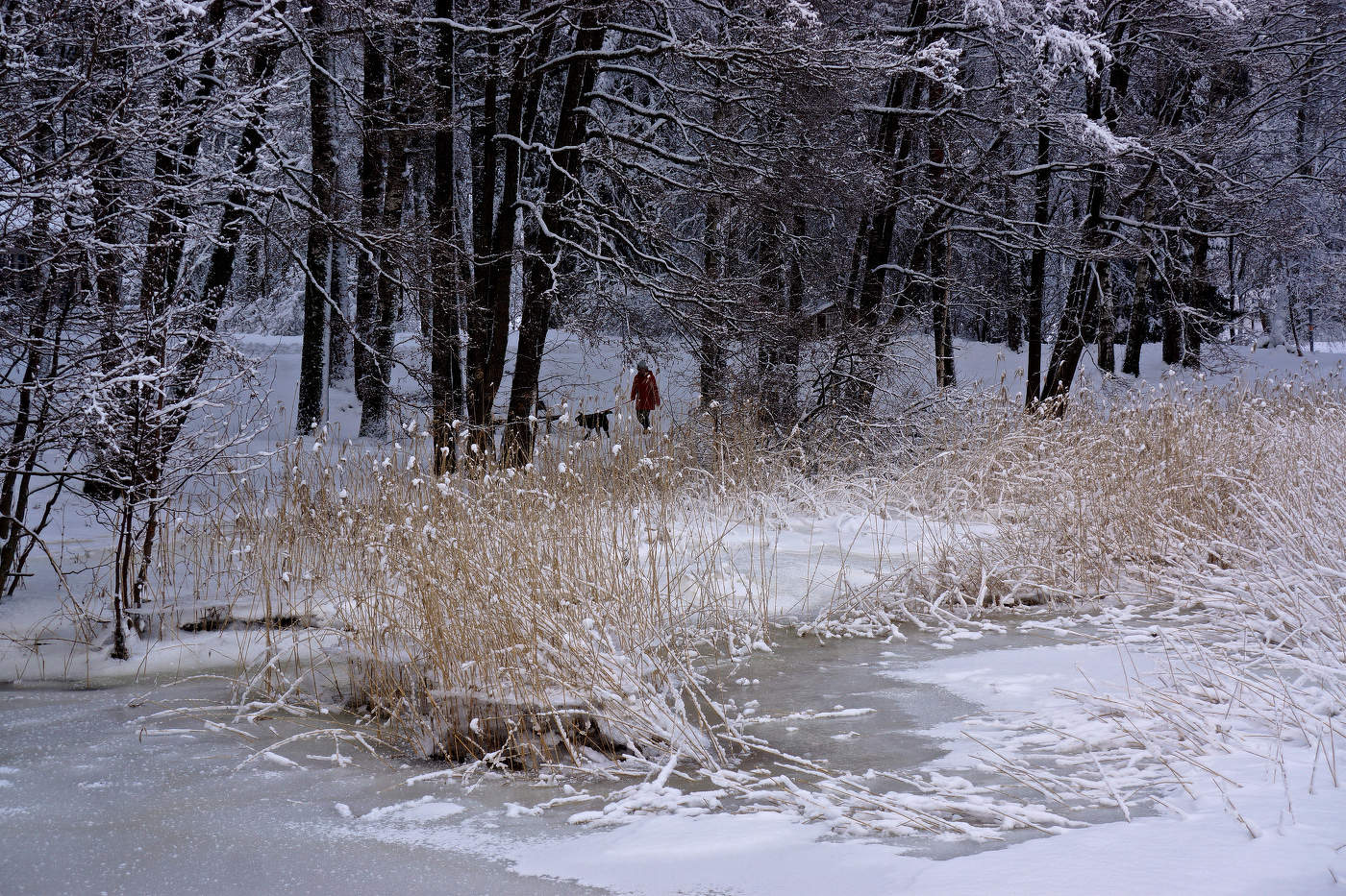 На прогулке