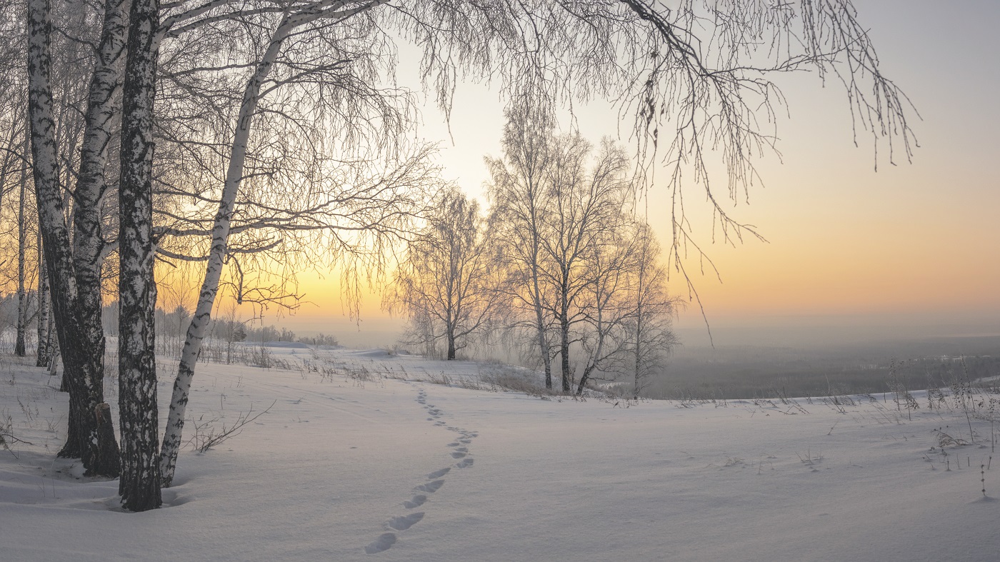 Морозное утро Февраля