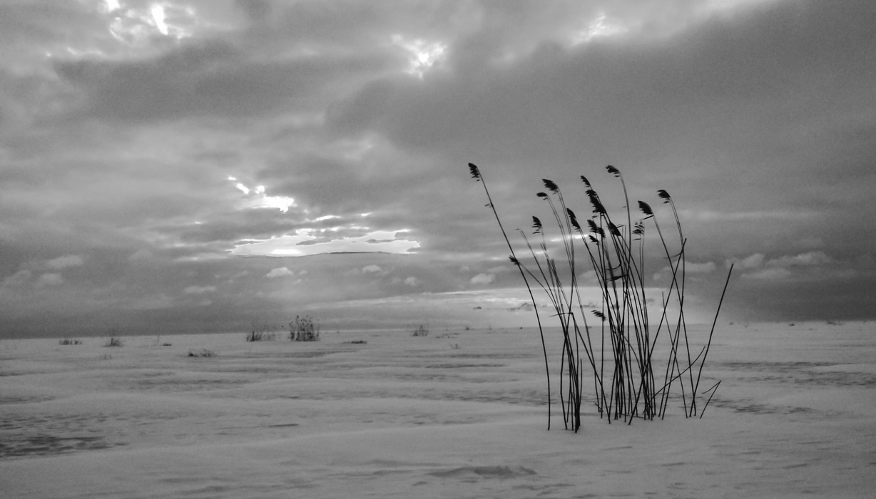 Приближене вечера