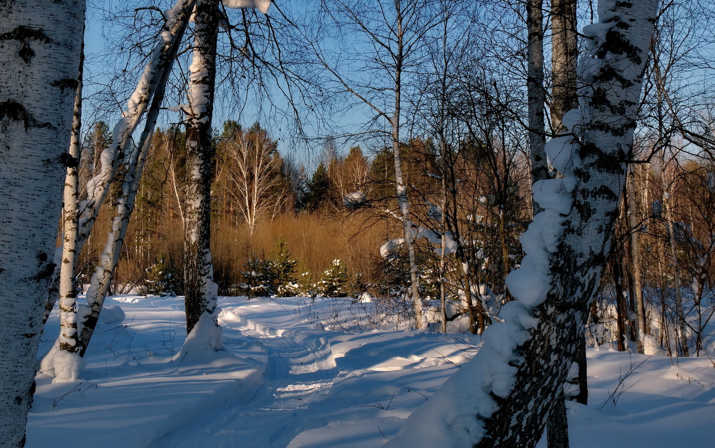 Зимняя дорога.