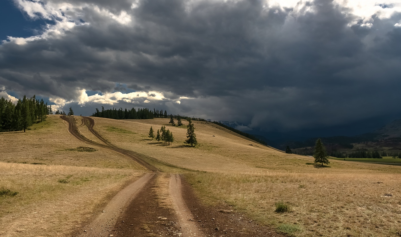 Перед грозой