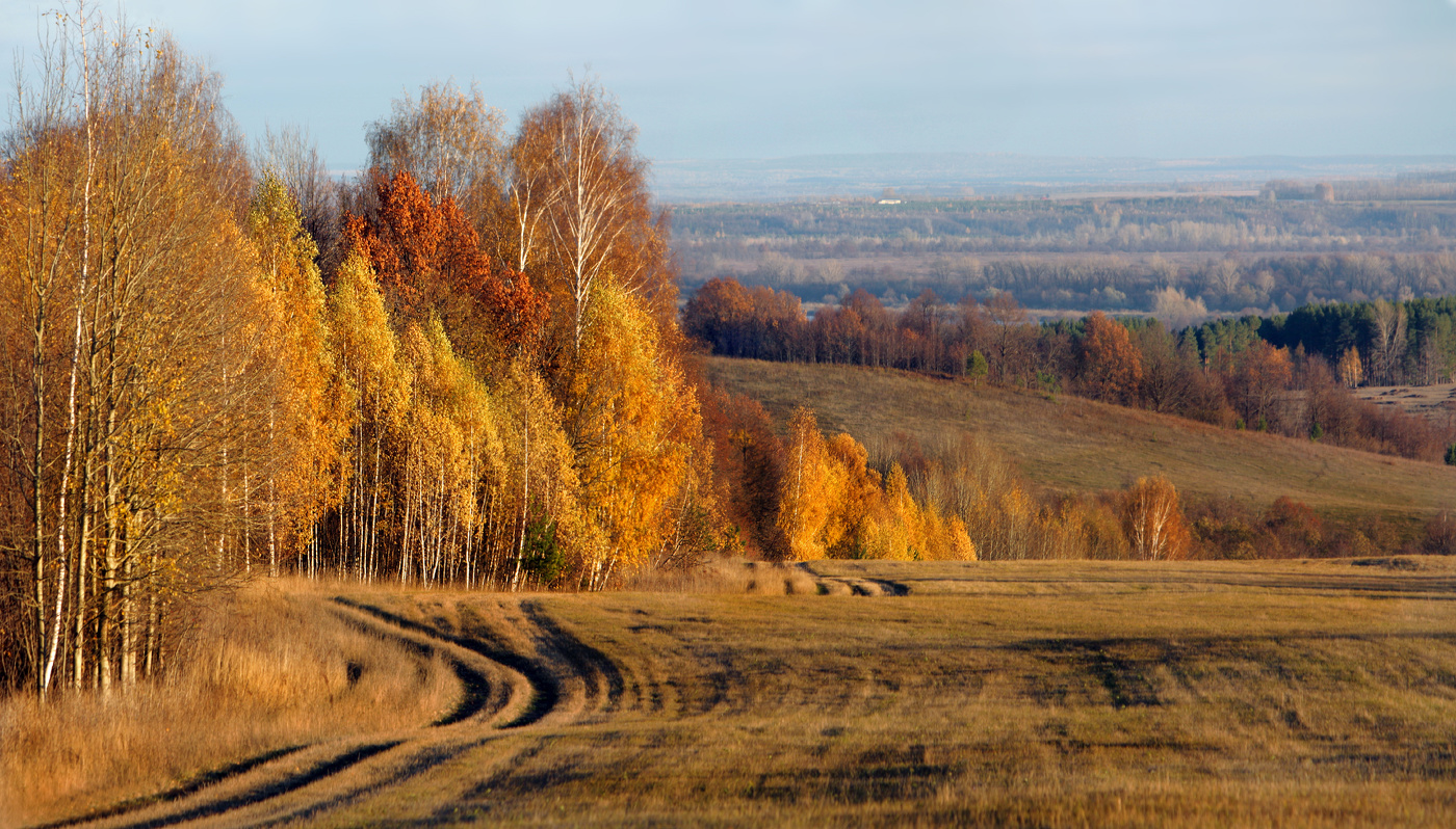 Золотая башкирская осень