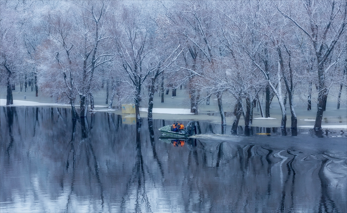 В снежном половодье тополя уснули...