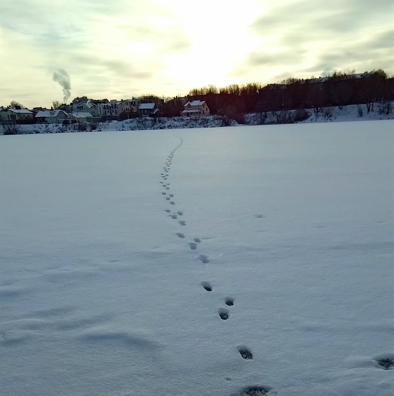 Ушел к соседям ))