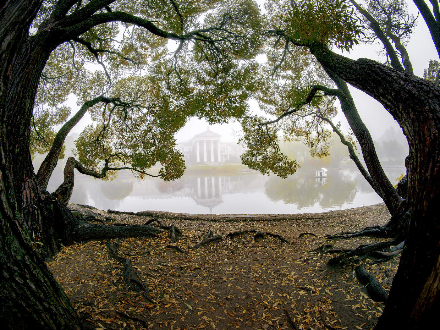 Туманная сказка 2