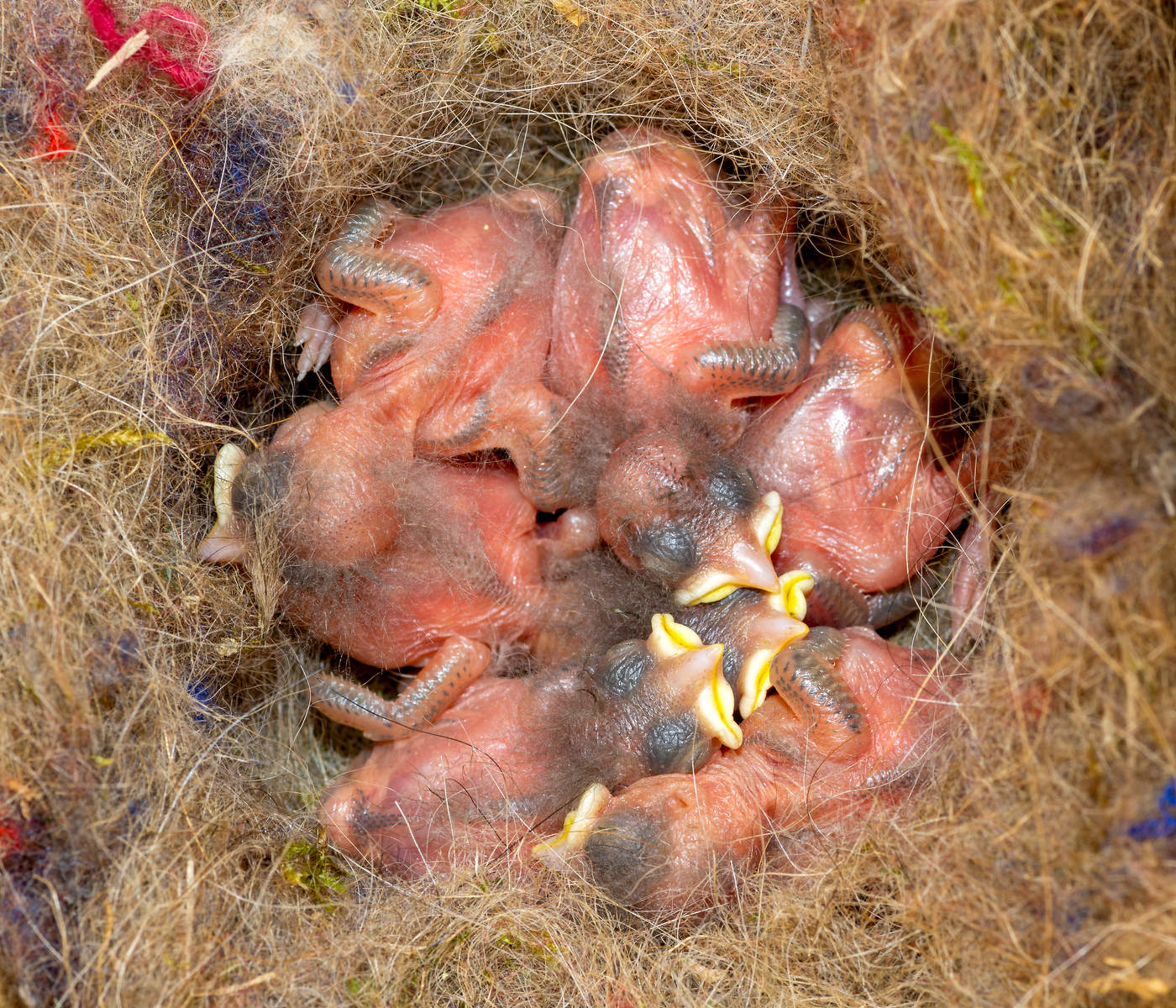 В моём почтовом ящике.