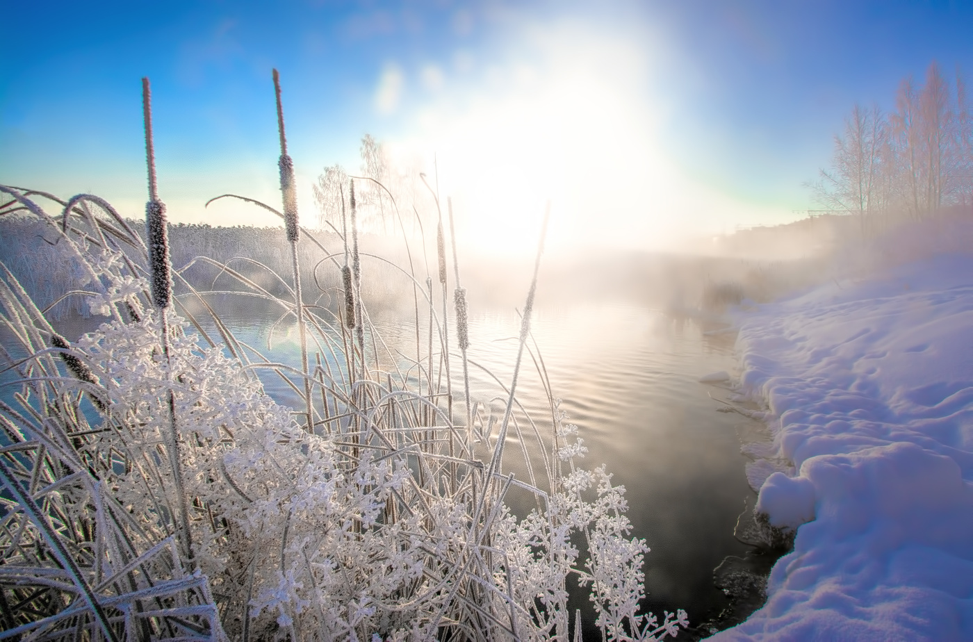 Сквозь туман