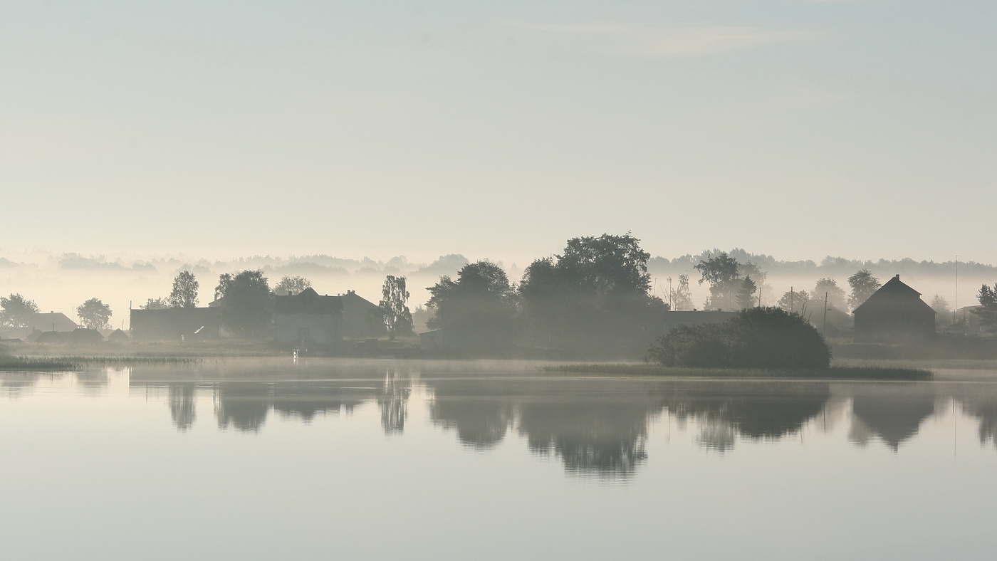 Туманное утро