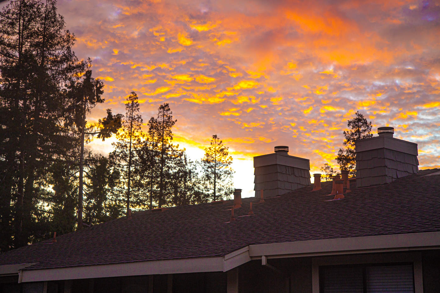 Тревожное утро