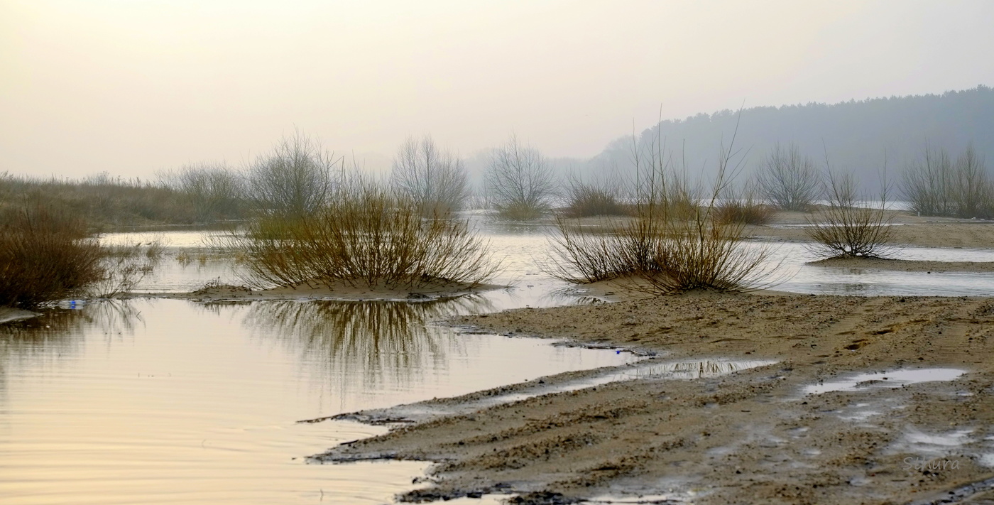 Весенние воды.
