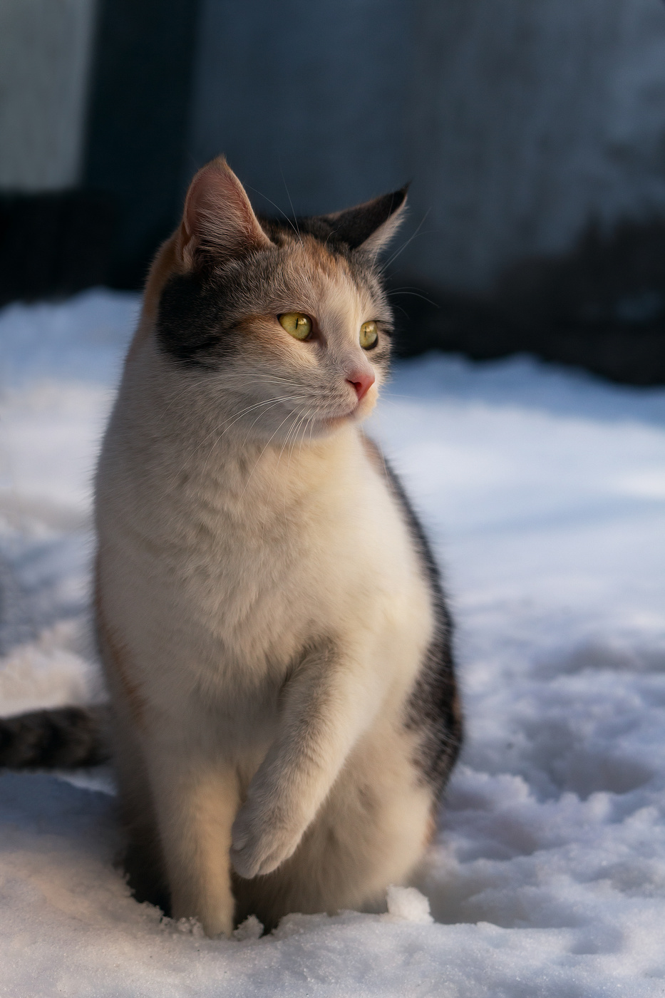 Интересно, кто это там ?...