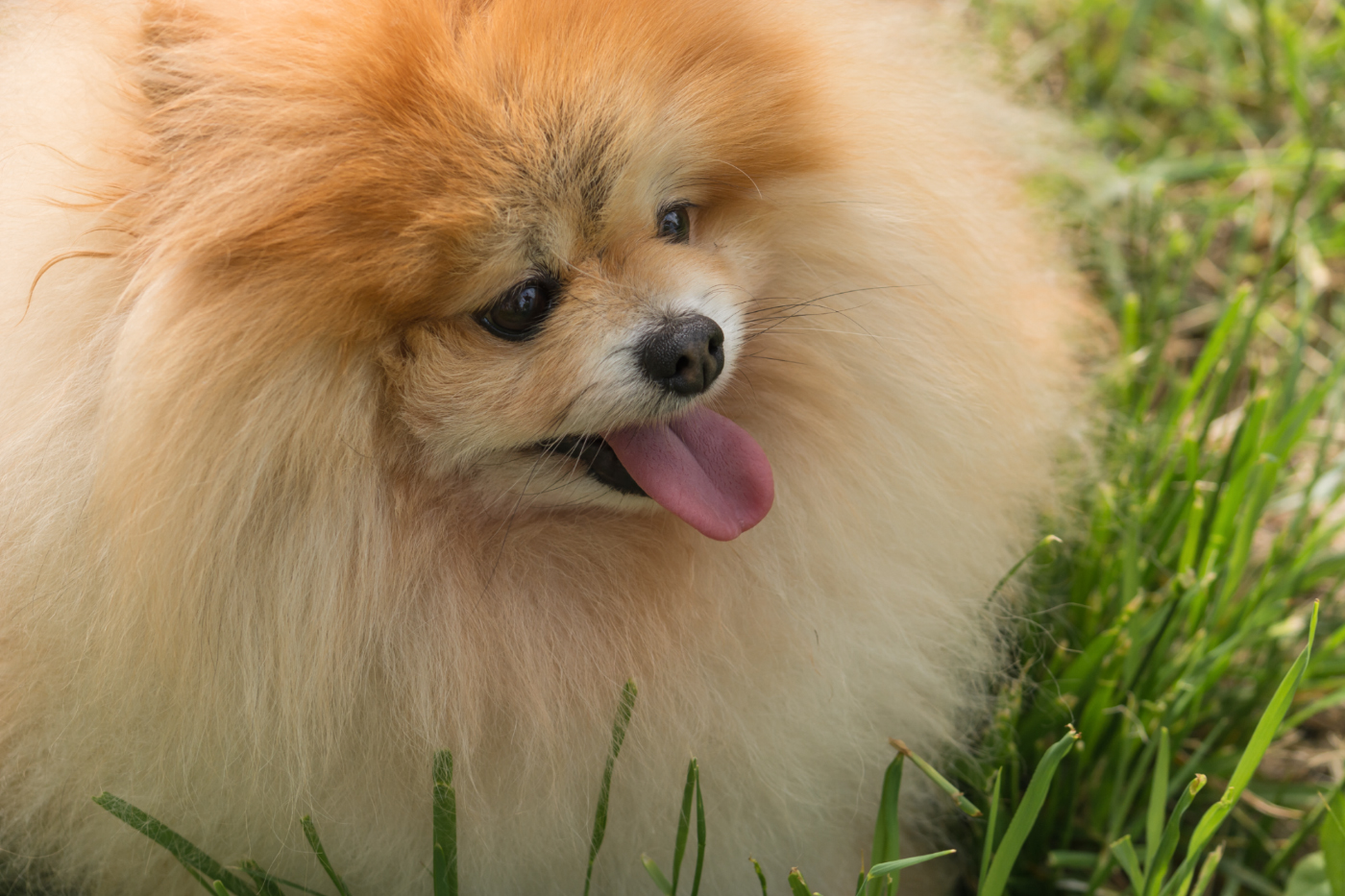 Три "бусинки"...)))))))))))